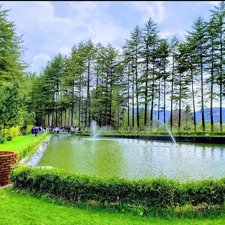 Hotel Jardin Rincon De Las Estrellas Velasco Dış mekan fotoğraf