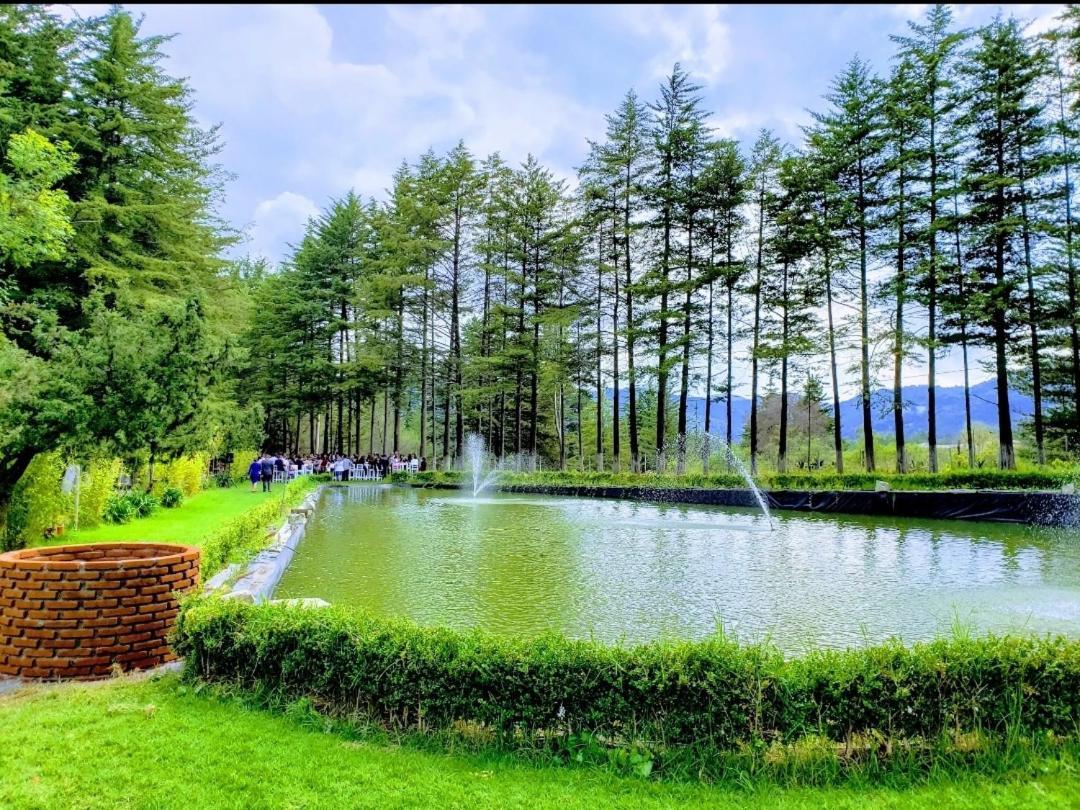 Hotel Jardin Rincon De Las Estrellas Velasco Dış mekan fotoğraf