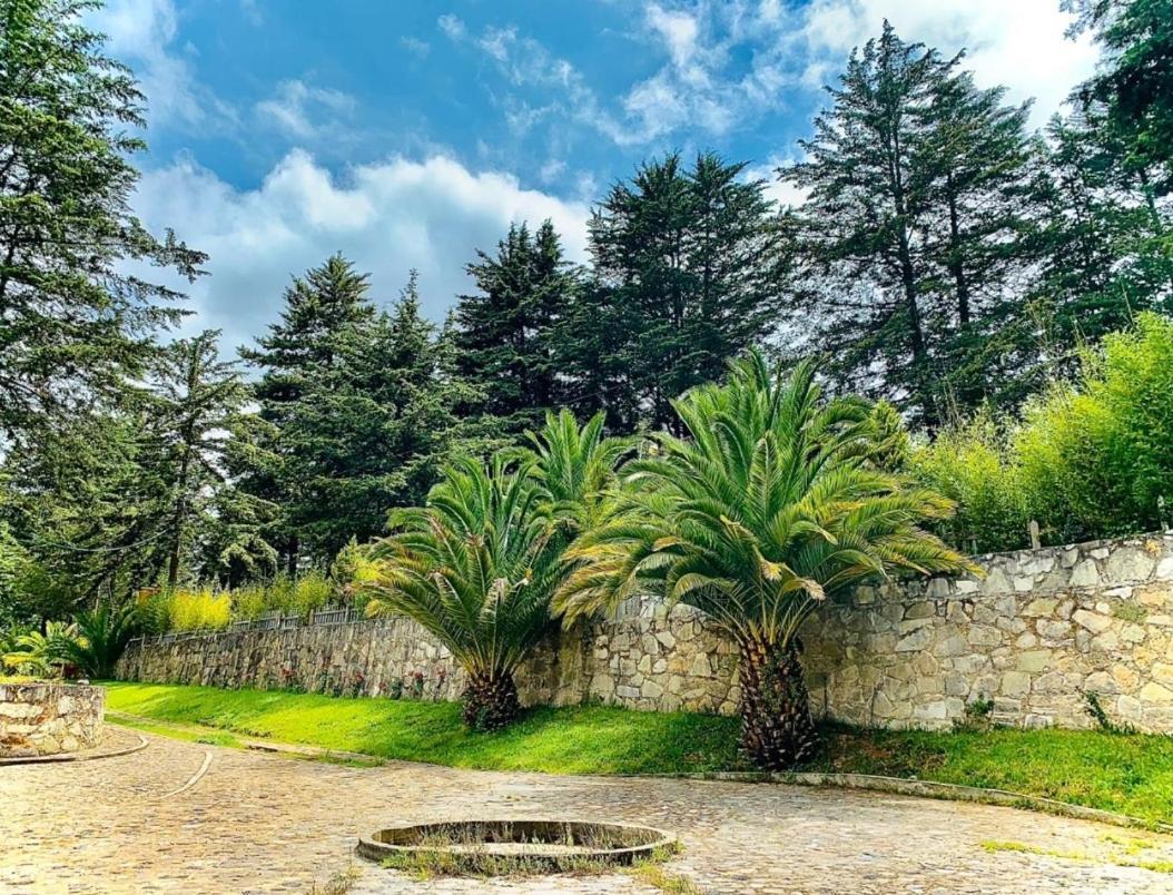 Hotel Jardin Rincon De Las Estrellas Velasco Dış mekan fotoğraf