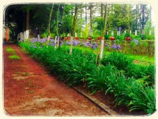 Hotel Jardin Rincon De Las Estrellas Velasco Dış mekan fotoğraf